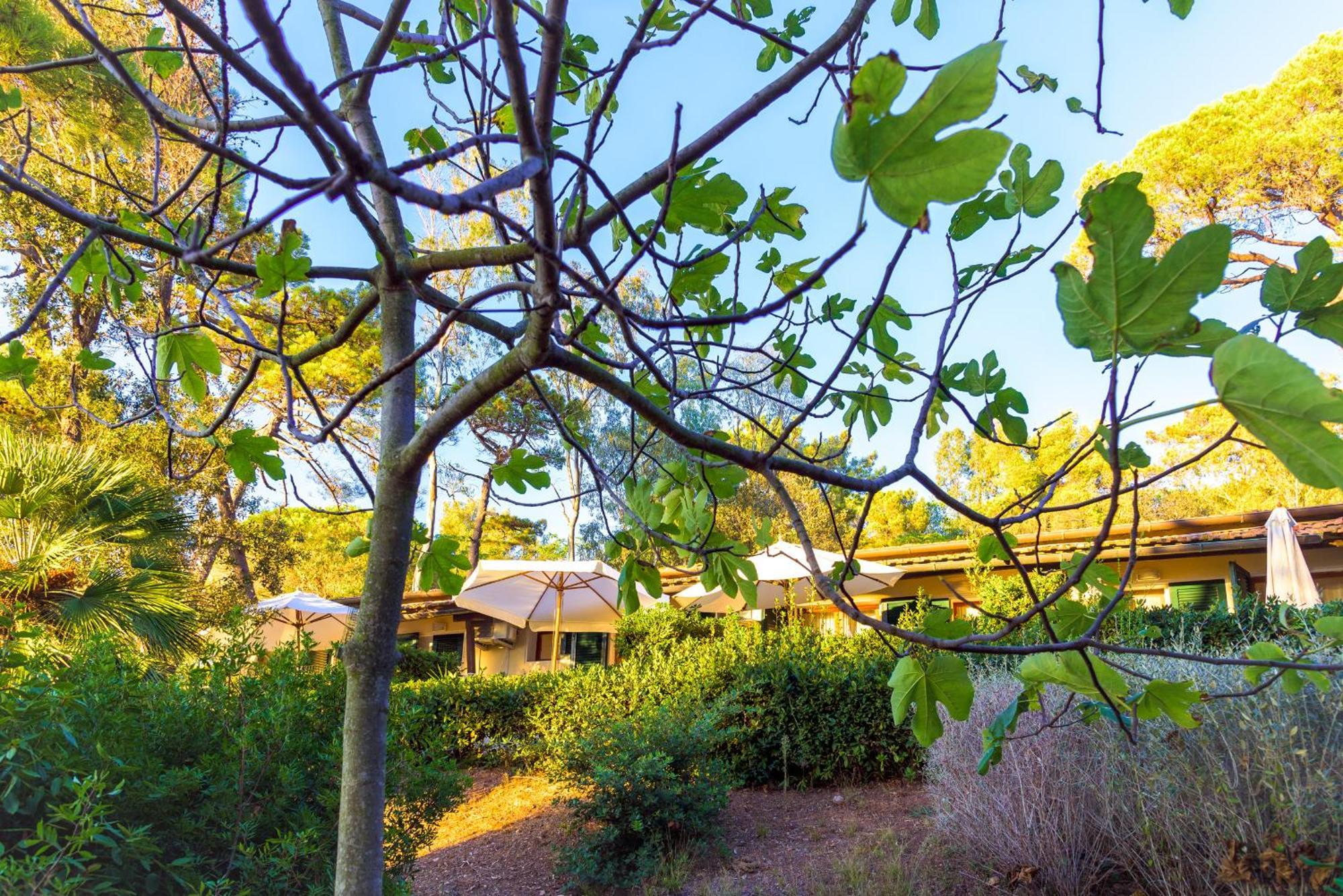 Hotel Villa Ottone Portoferraio Exteriör bild